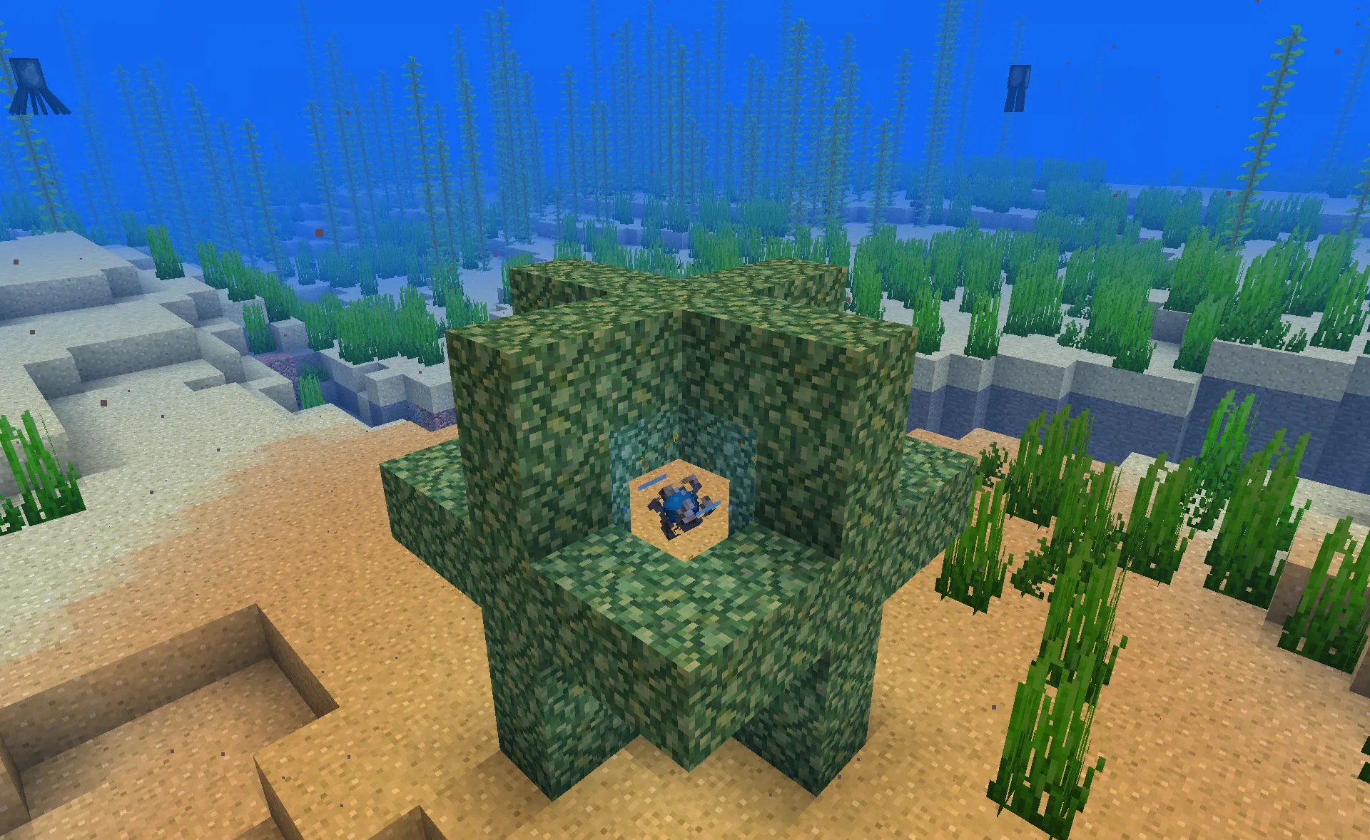 Minecraft Ocean Conduit