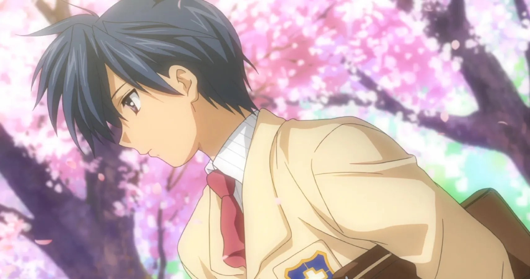 The 5 Best Original Harem Protagonists (& 5 That Leave A
