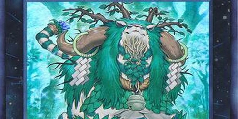 YuGiOh! Best Plant Xyz Monsters