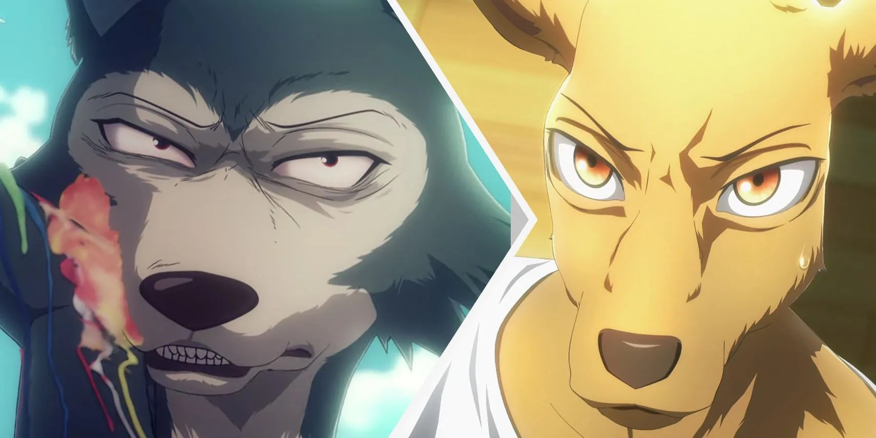 Beastars 10 Things Most Fans Don’t Know About The Making Of The Anime