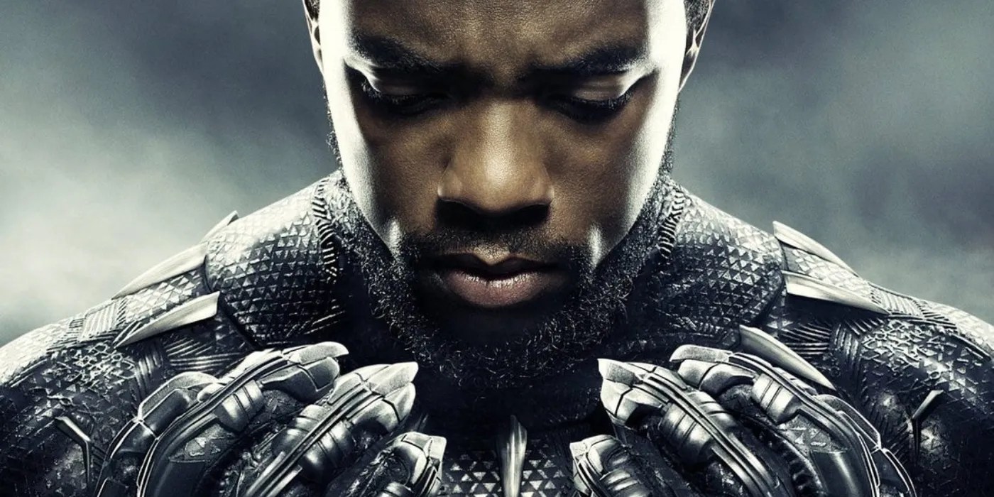 Black Panther Every Fight Scene In The Movie, Ranked