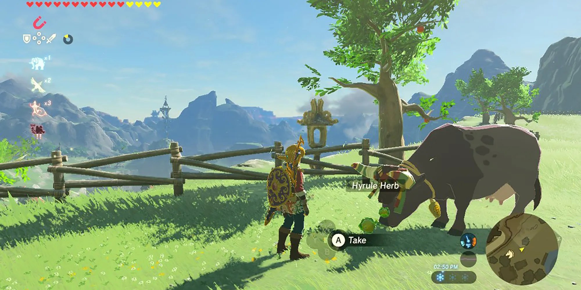 Breath of the Wild How to Feed the Squirrels