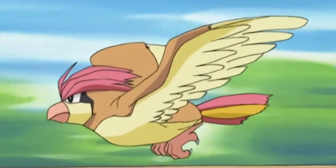 Pokémon Every Regional Bird, Ranked