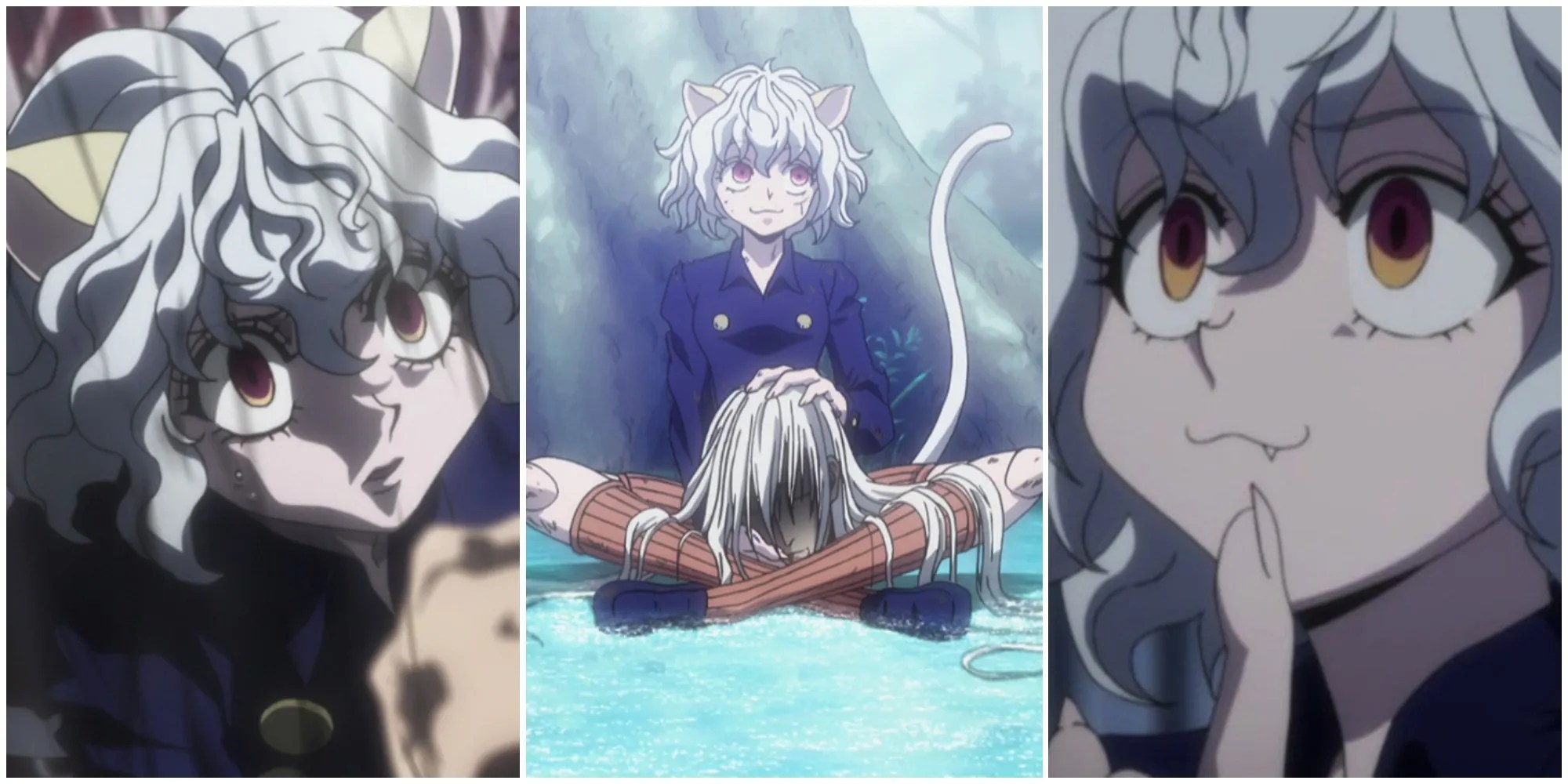 Hunter X Hunter 10 Things You Didn't Know About Neferpitou