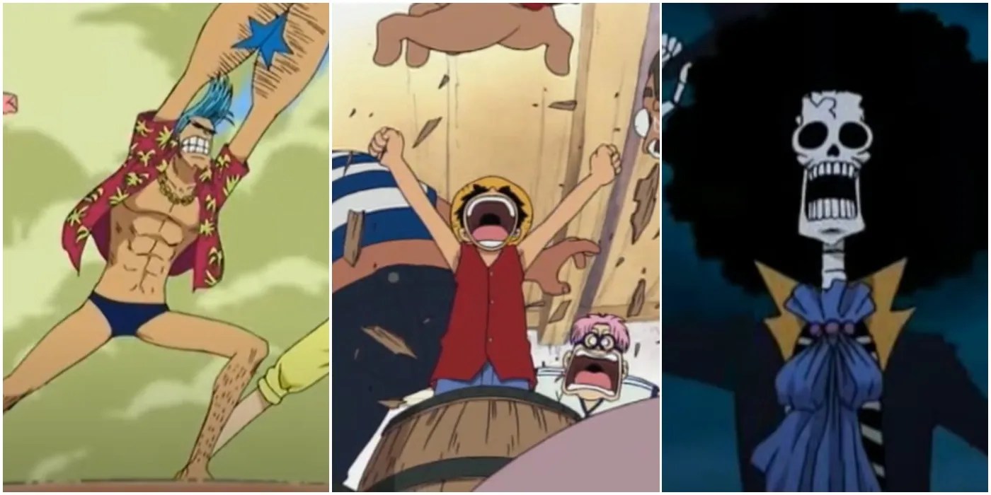 One Piece All Straw Hat Pirates, Ranked By First Introduction