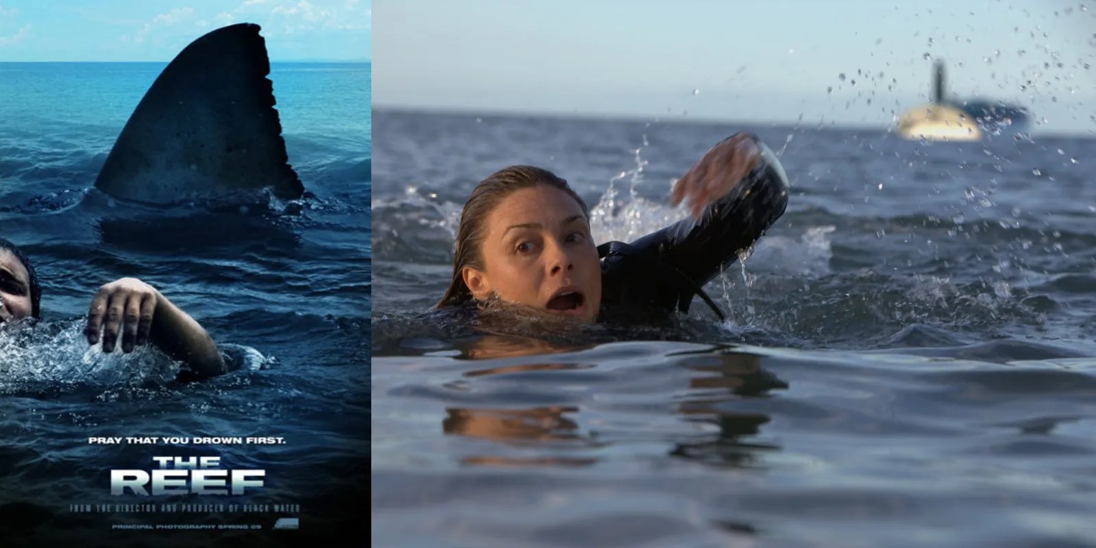 The 10 Best Shark Attack Movies