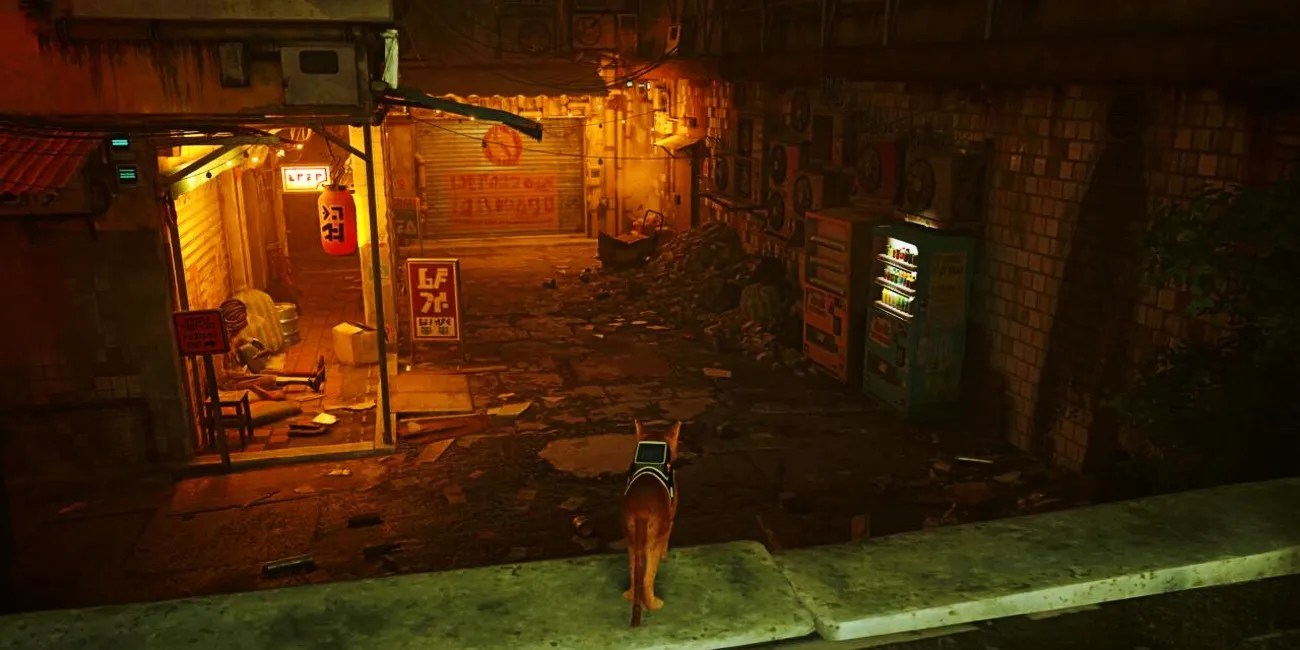 Stray Energy Drink & Vending Machine Guide