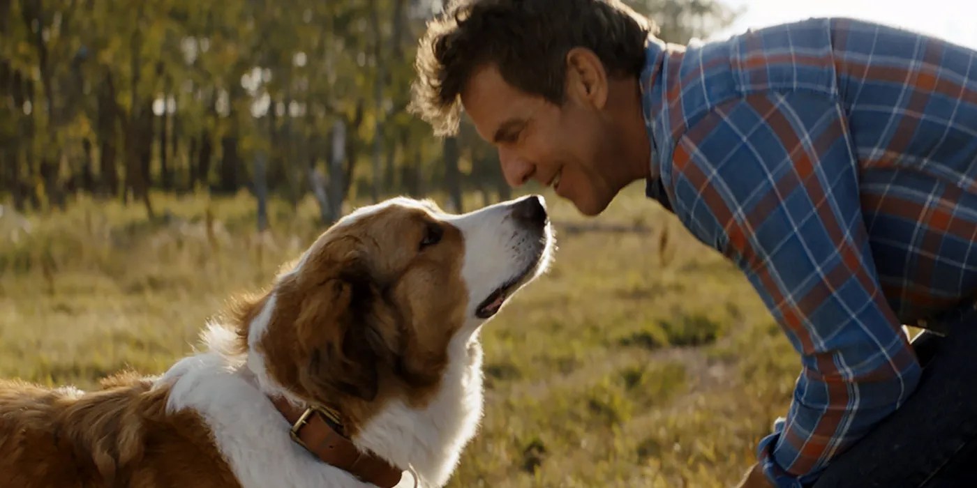 The 10 Best Animal Movies With Sad Endings