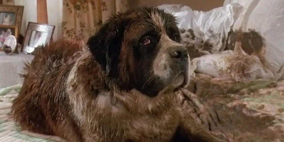 10 Best Animal Movies With Happy Endings