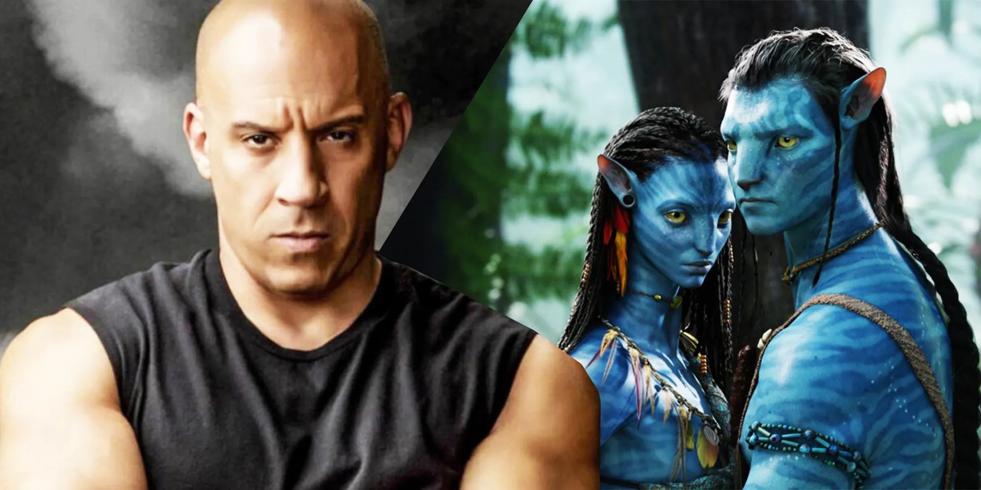 James Cameron's Avatar Sequels Won't Feature Vin Diesel, Despite Rumors