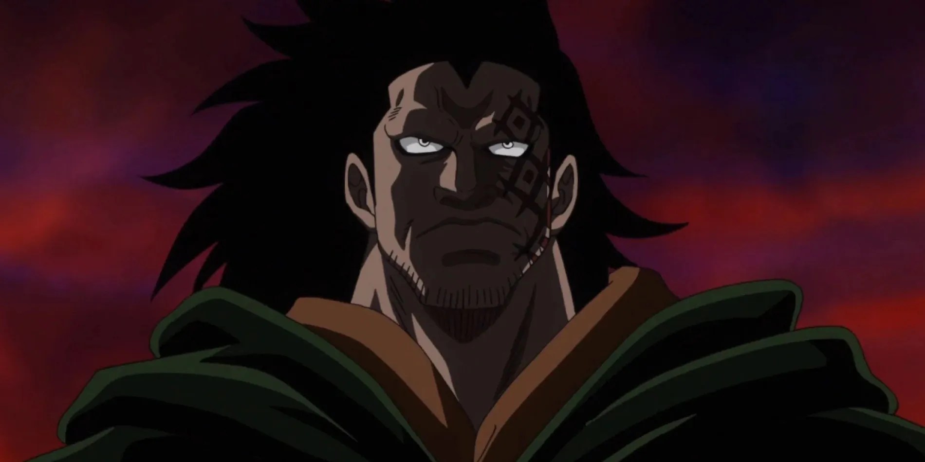 One Piece Monkey D. Dragon, Explained