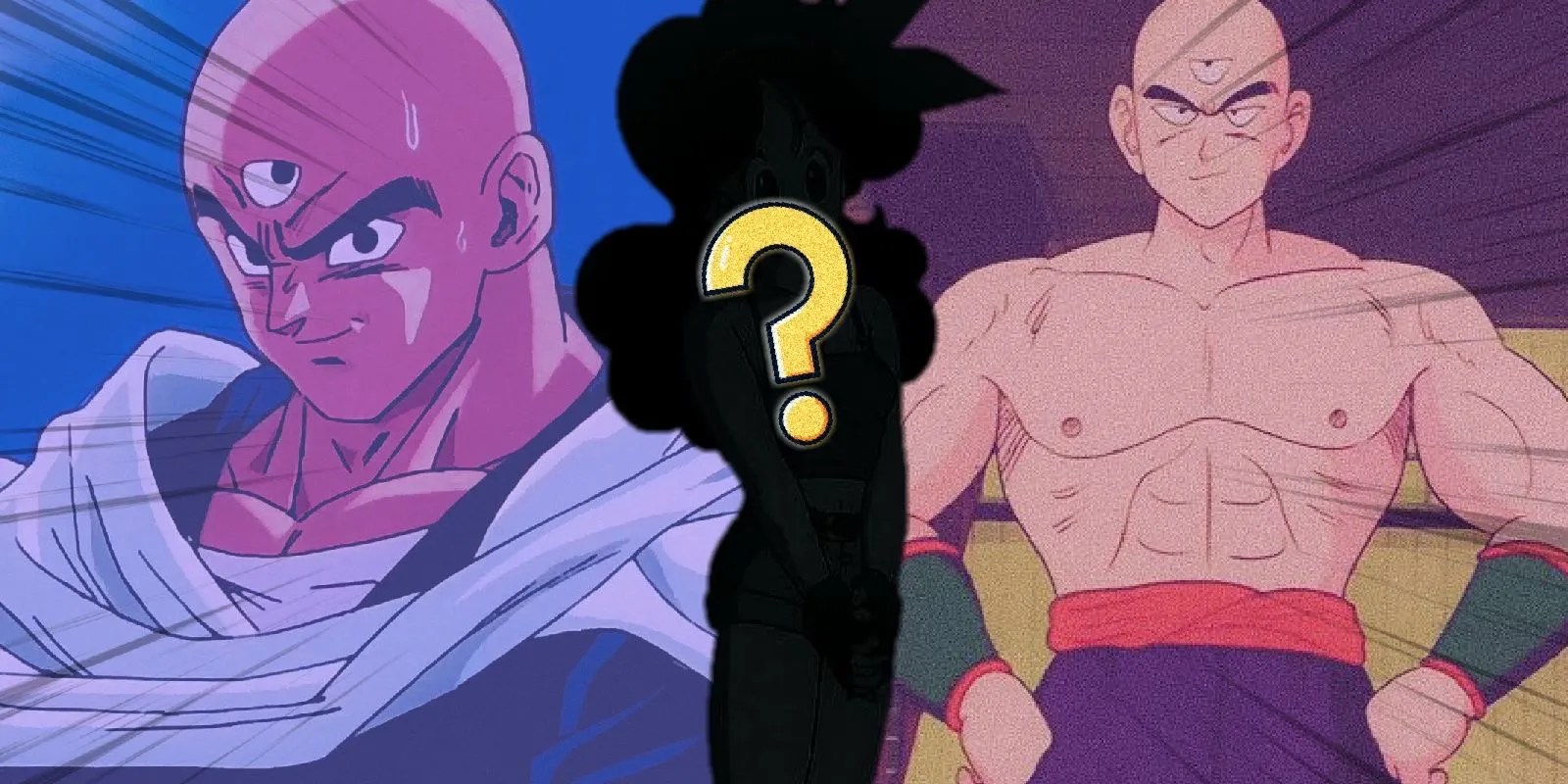 Why Didn't Launch And Tien Get Together In DBZ?