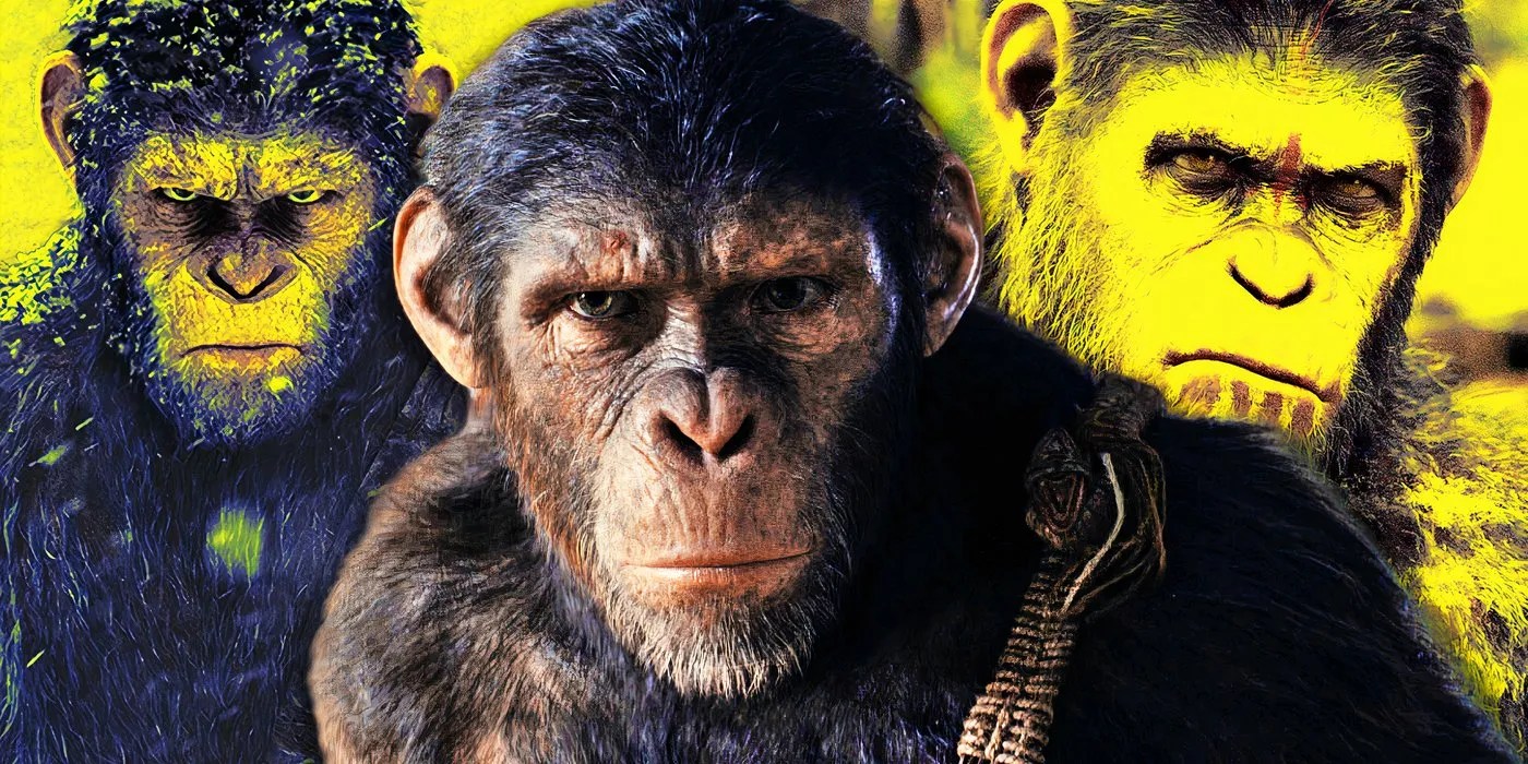 Is Noa Related to Caesar in Kingdom of the of the Apes?