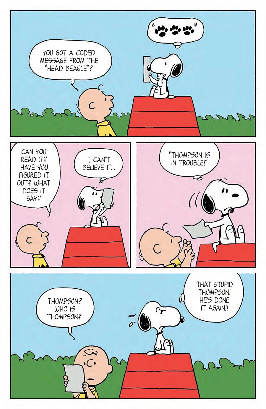 Peanuts 31