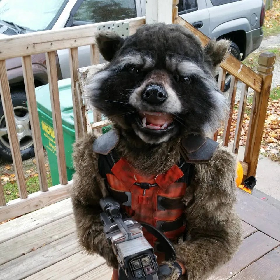 Rocket Raccoon Costume Kids