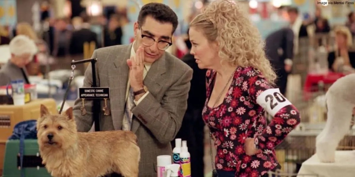 The 10 Top Rated Films of the Year 2000, Ranked by Rotten Tomatoes