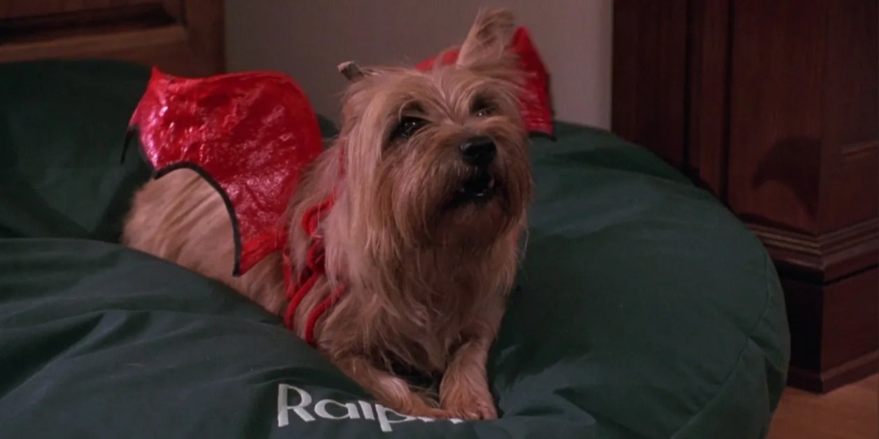 10 Surprising BehindTheScenes Details About 'Hocus Pocus'