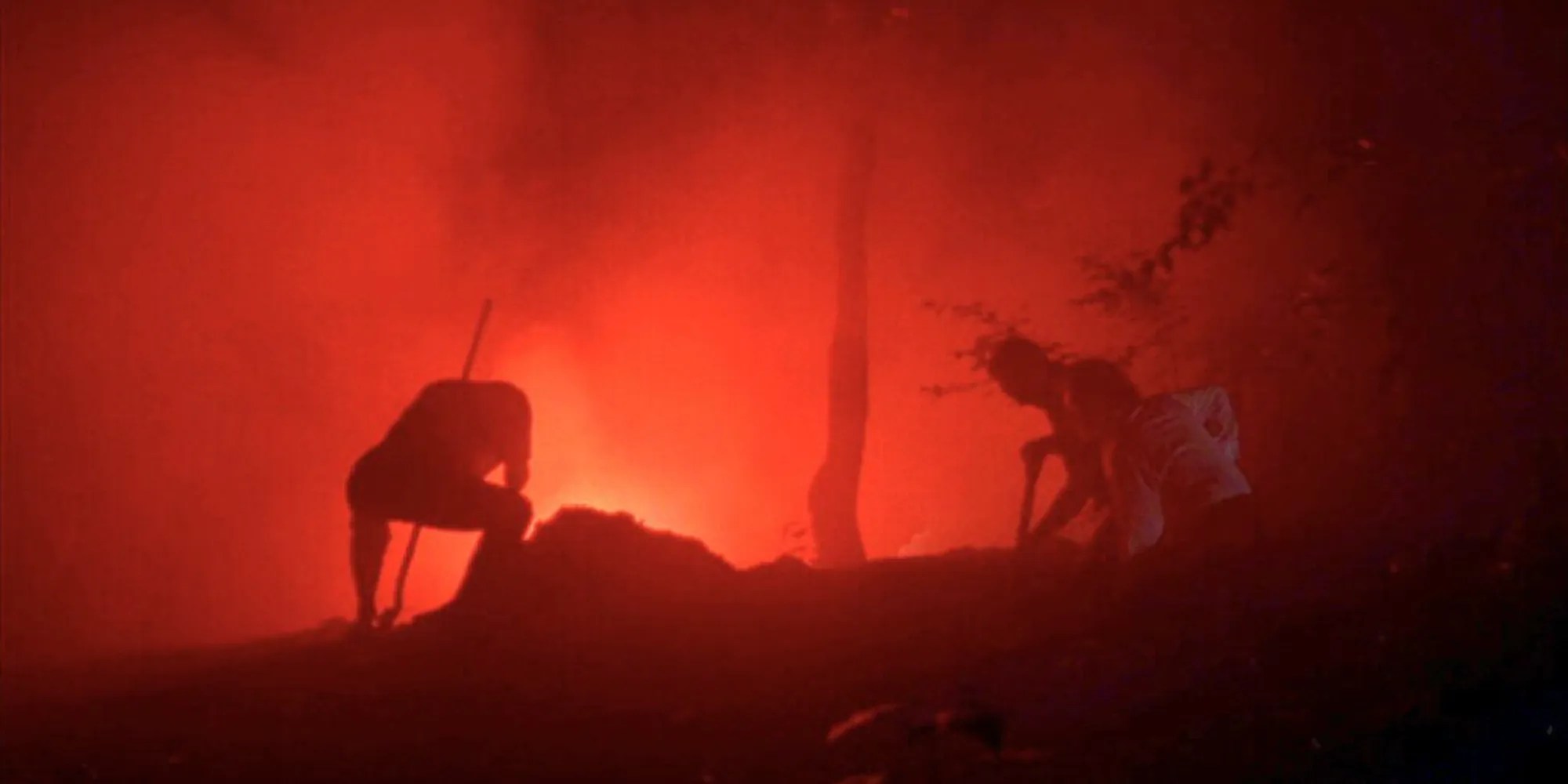 10 meilleurs films RagstoRiches Drumpe