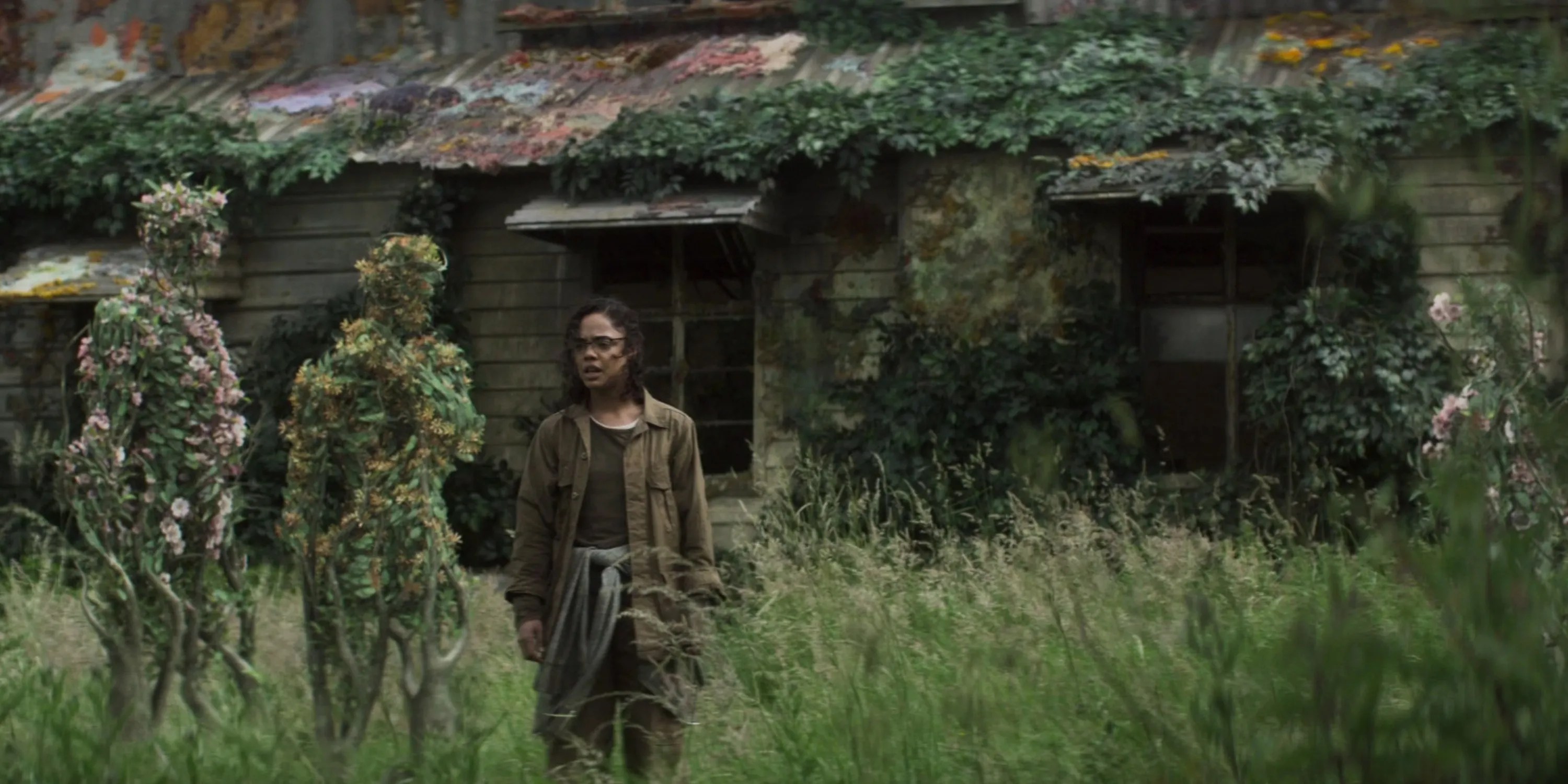 10 Movies Where Plants Are the Enemy