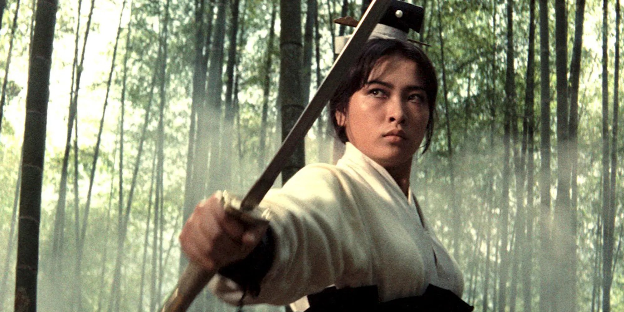 “Um Toque de Zen”: O Filme de Kung Fu Meditativo que Inspirou “O Tigre e o Dragão” e Desafiou Hollywood