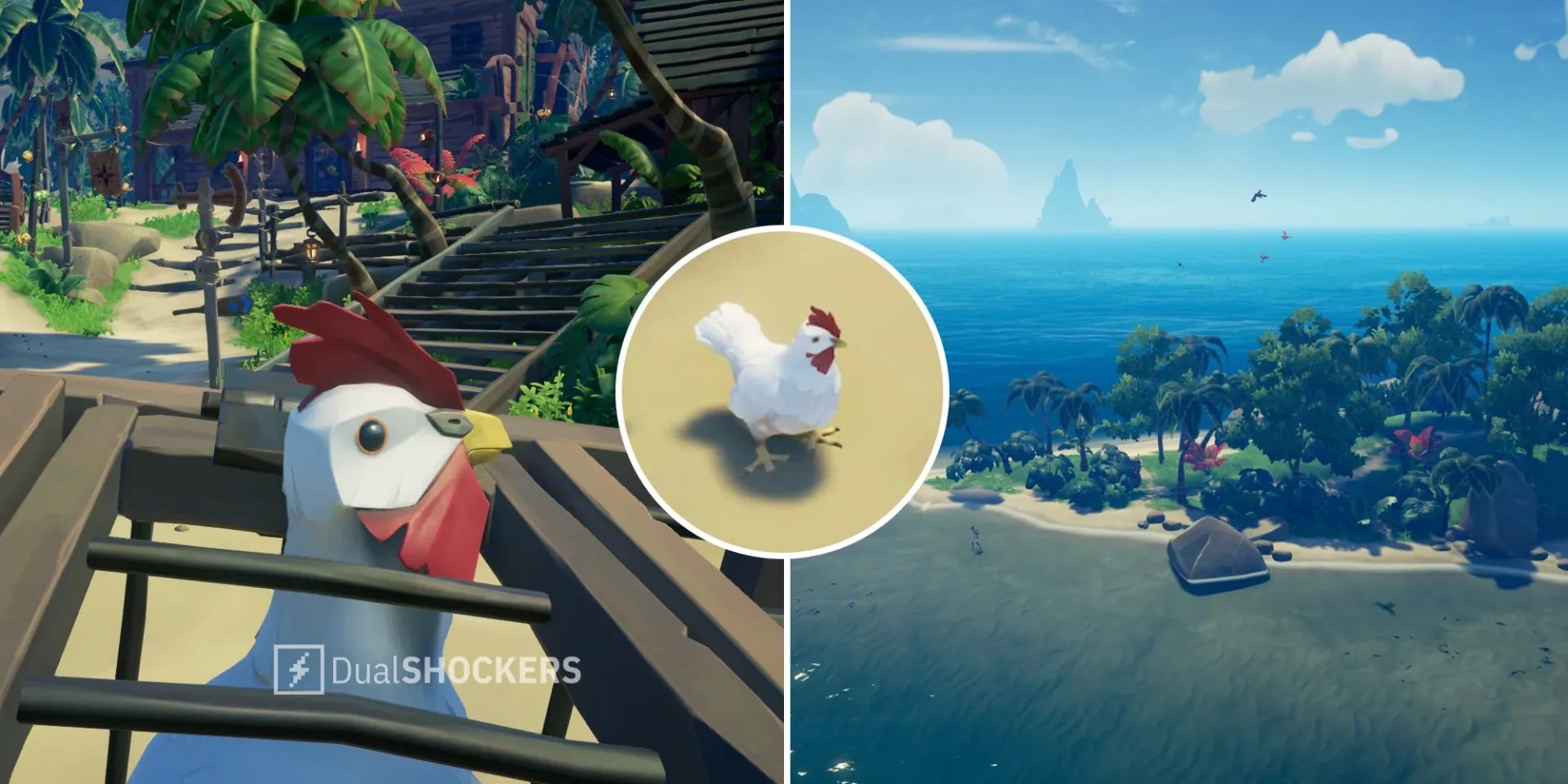 Sea Of Thieves How To Find And Catch Chickens