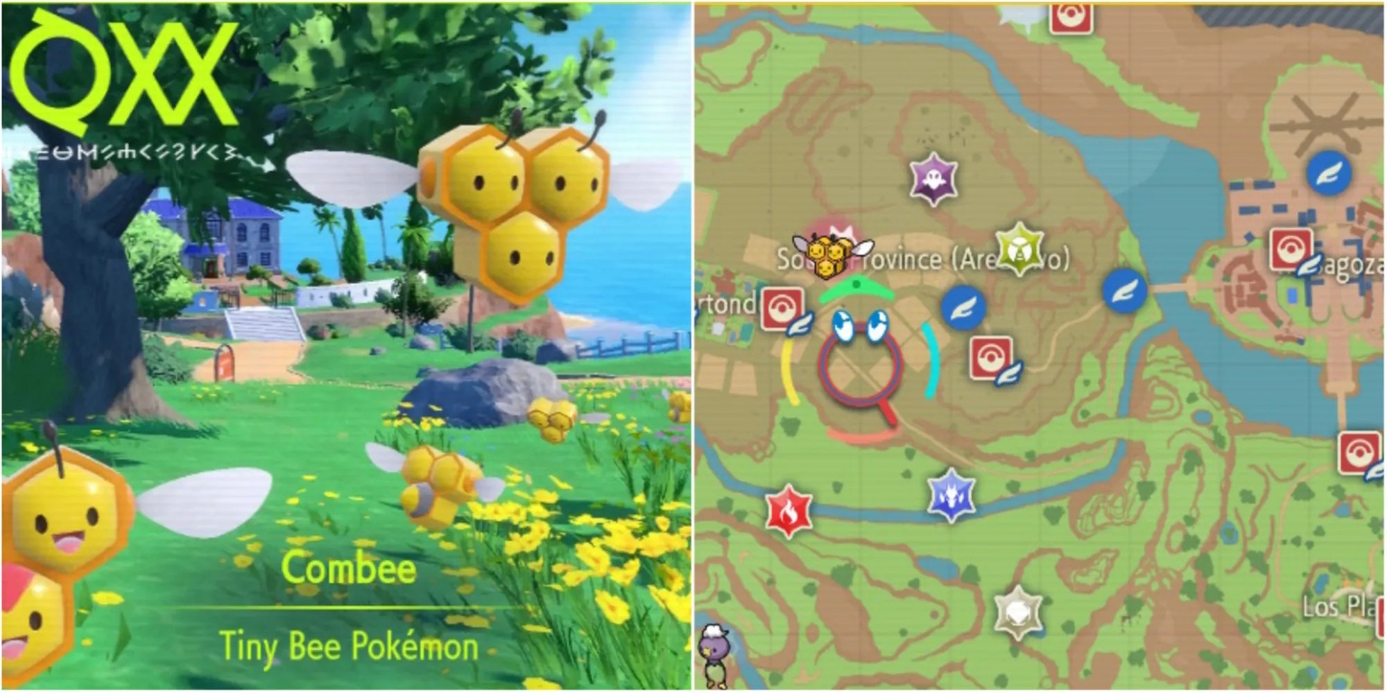 Pokemon Scarlet & Violet How To Catch & Evolve Combee Into Vespiquen