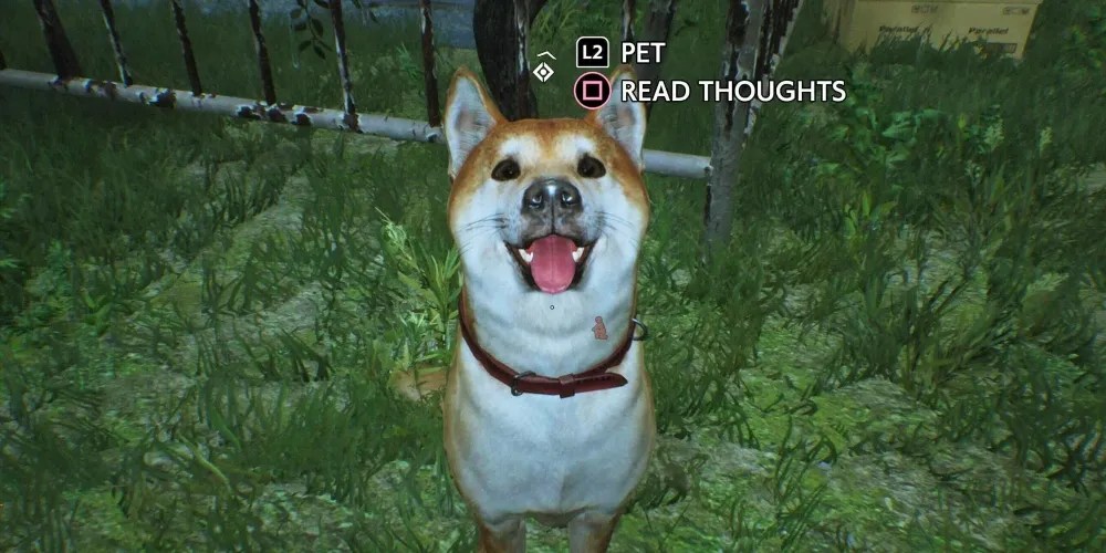 Best Video Game Dogs, Ranked