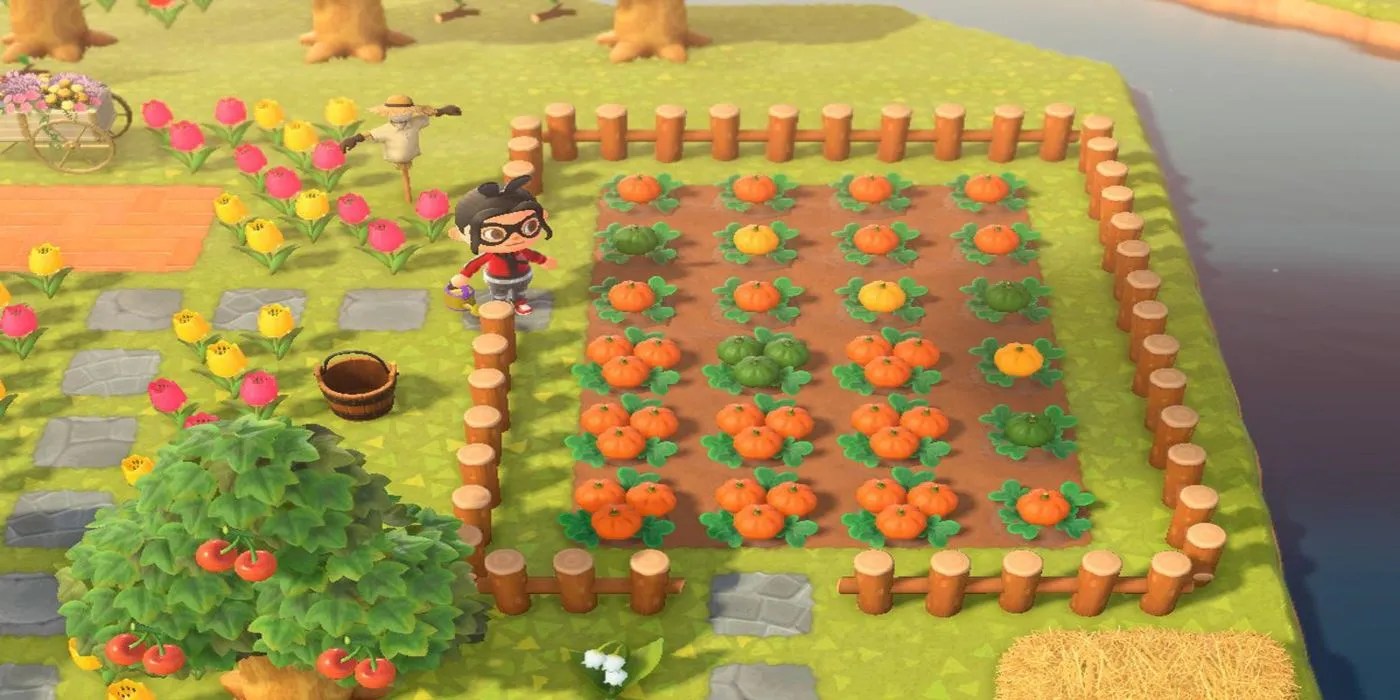 Animal Crossing New Horizons Video Highlights October's New Bugs, Fish