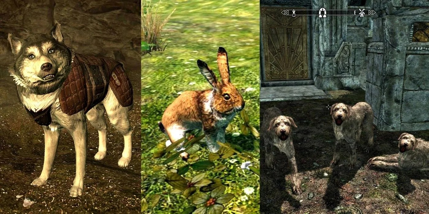 8 Best Pets In Skyrim, Ranked Game Rant LaptrinhX