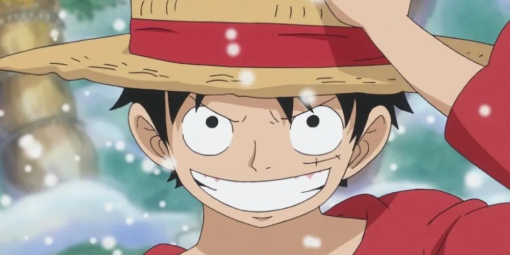 One Piece Every Straw Hat Pirate's Age, Height, And Birthday