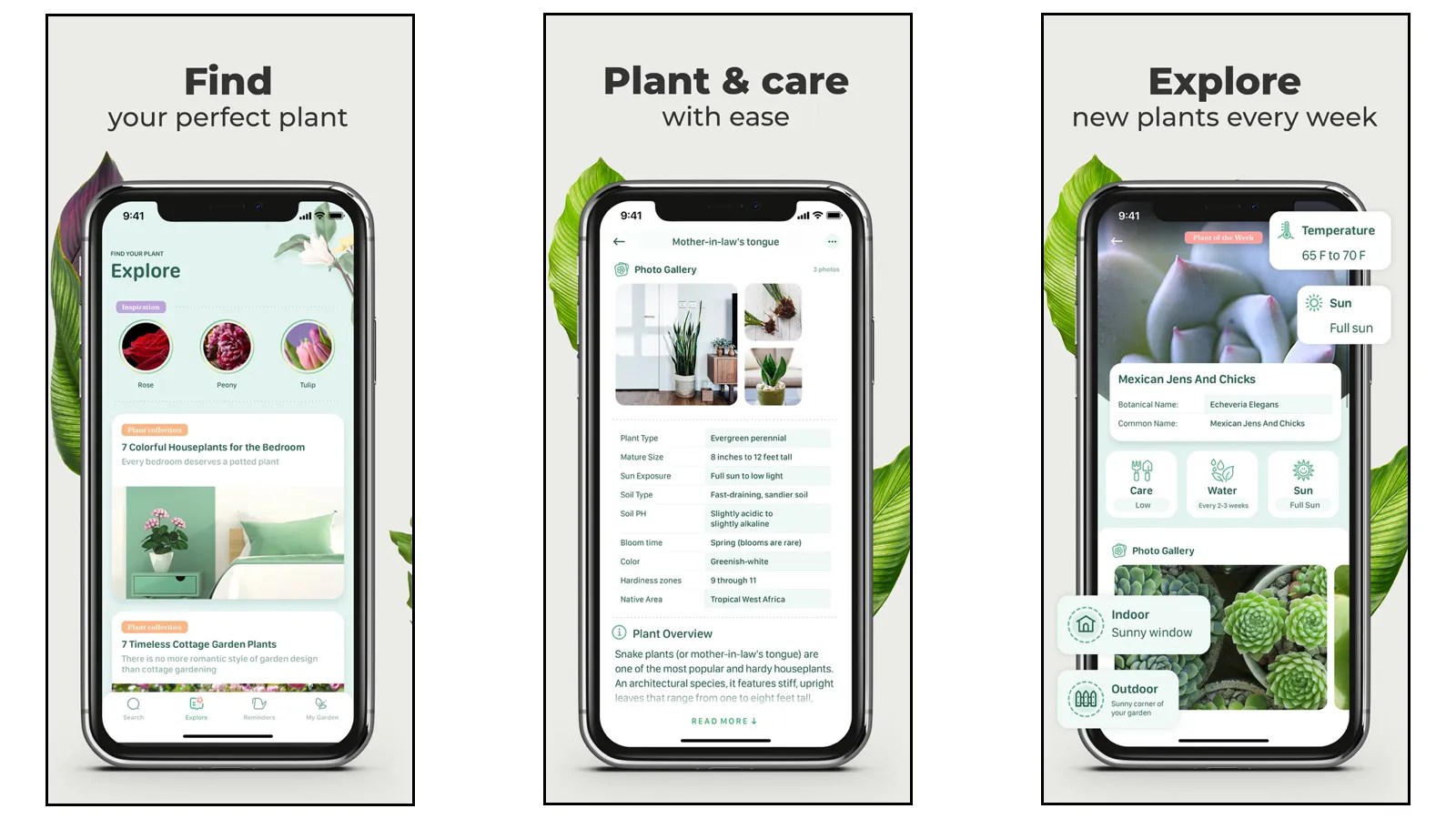 These Apps Will Help You Keep All of Your New Houseplants Alive