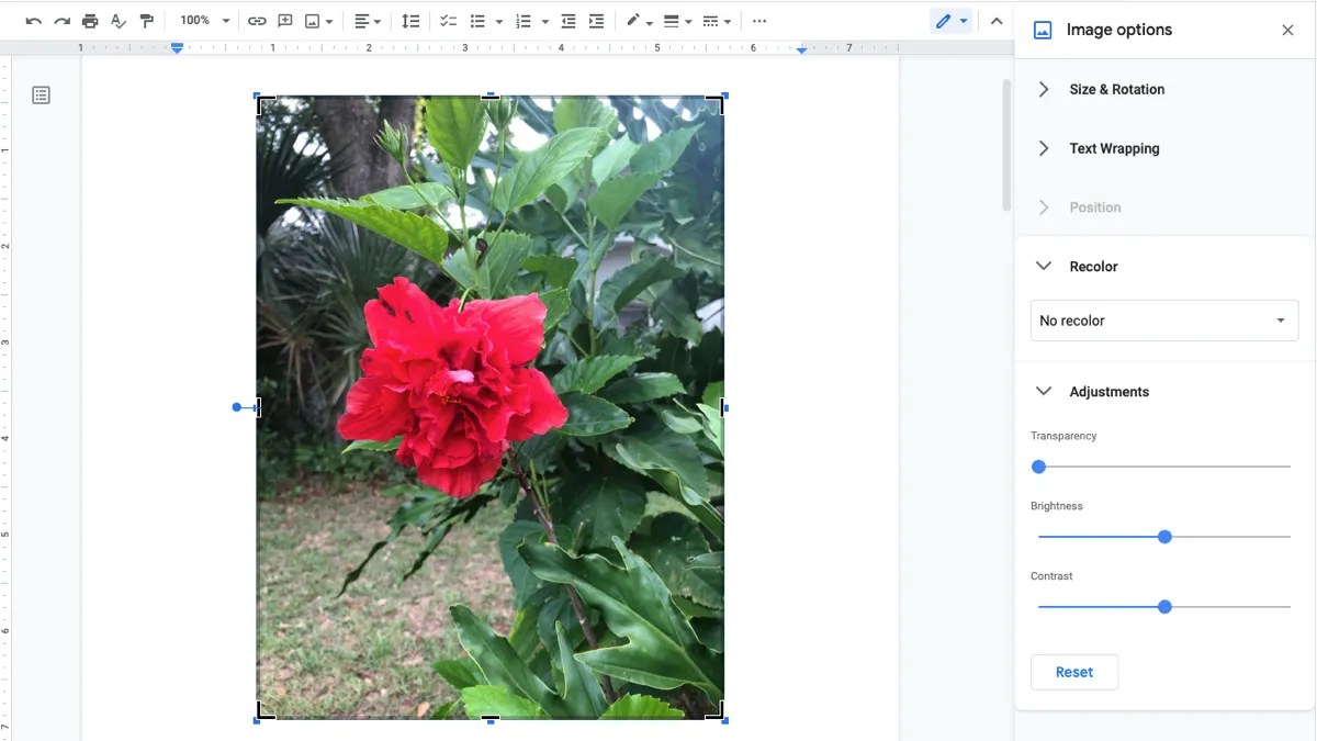 How to Crop, Rotate, and Adjust Images in Google Docs