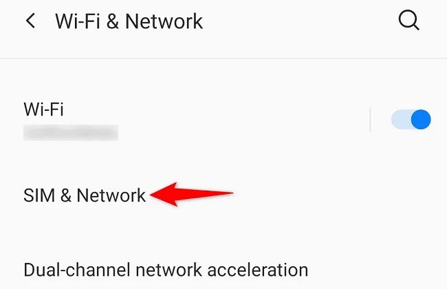 Select &ldquo;SIM &amp; Network.&quot;