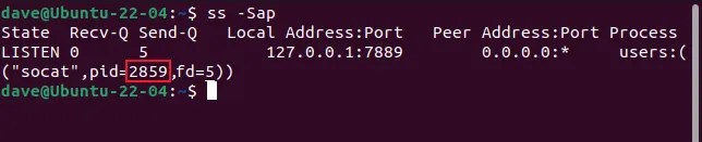 Printing the details of a process using an SCTP socket with ss