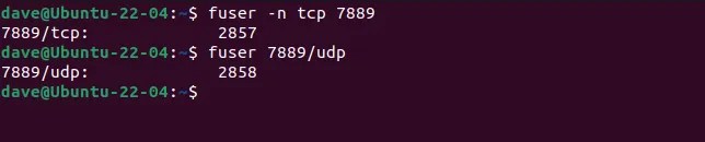 Using the fuser command to delete the processes using TCP and UDP sockets
