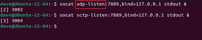 Creating listening UDP and SCTP socket connections with socat