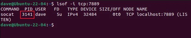 Using lsof to show the details of a process using a specific port and protocol