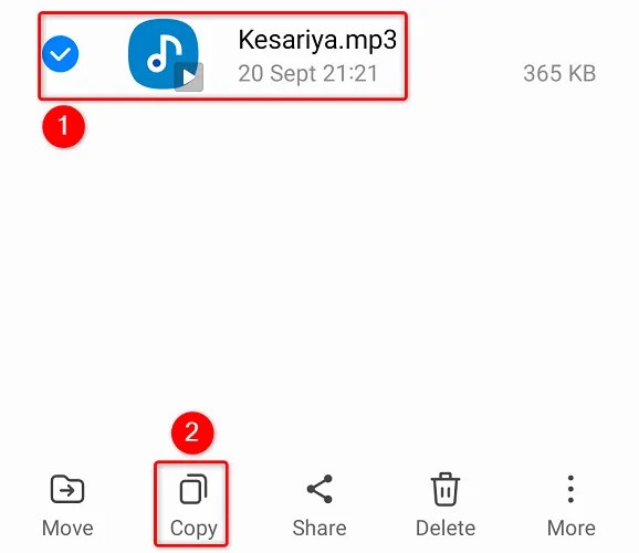 Choose a tone and tap &ldquo;Copy.&quot;