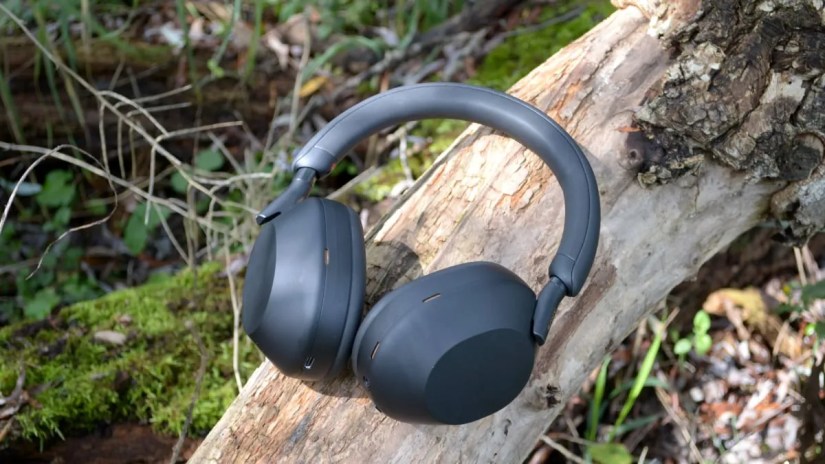 Sony WH-1000XM5 on tree