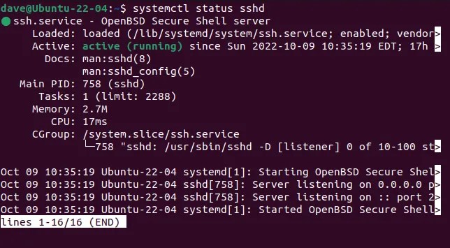 The details of a single service displayed by systemctl