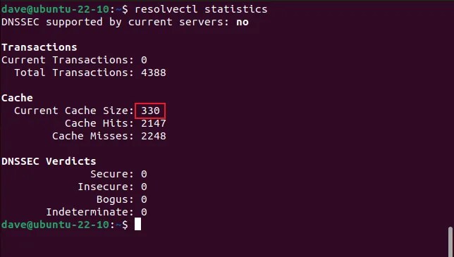 using the resolvectl command to view DNS caching statistics