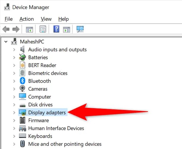 Expand &ldquo;Display Adapters.&quot;