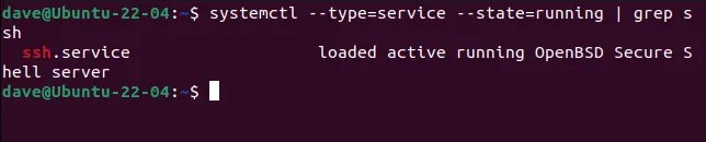 Using grep to isolate a single service from the results