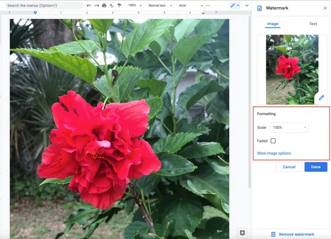 Watermark formatting options in the sidebar