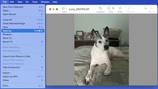 Save As in the Preview File menu