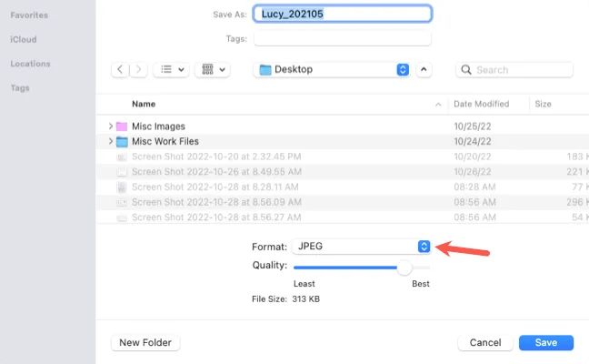 Save As dialog box for Preview on Mac