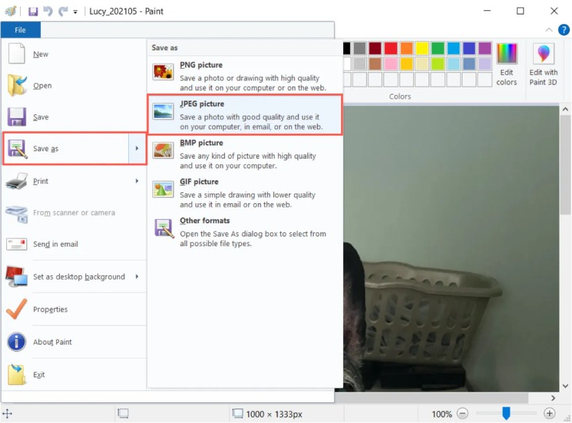 Save As JPEG Picture in the Paint File menu