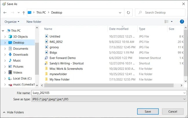 Save As dialog box for Paint on Windows