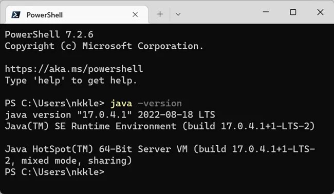The output of the command &quot;java -version.&quot; Java Runtime Environment (Build 17.0.4.1).