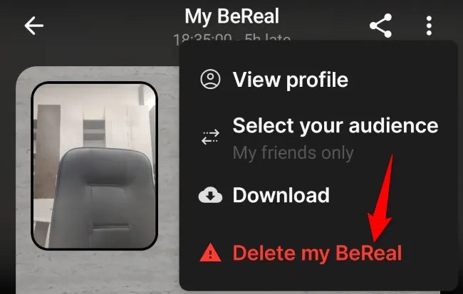 Select &ldquo;Delete My BeReal&rdquo; in the menu.
